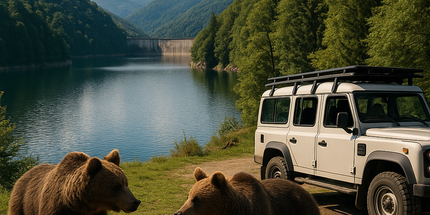 Wild Brown Bears - One Day Tour from Bucharest