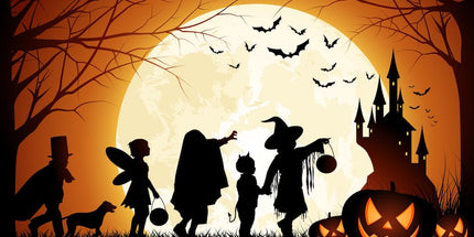 Halloween Party at Dracula’s Castle – One Day Tour from Bucharest