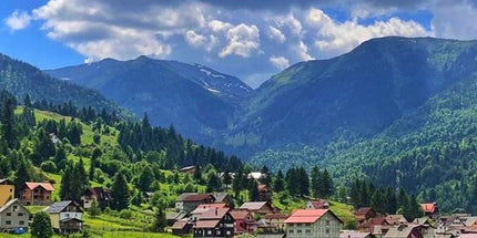 Bucovina & Painted Monasteries Tour – 5 Days / 4 Nights