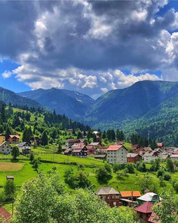 Bucovina & Painted Monasteries Tour – 5 Days / 4 Nights