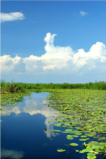 Danube Delta – One Day Tour
