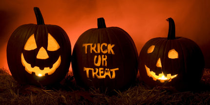 Halloween Party at Dracula’s Castle – One Day Tour from Bucharest