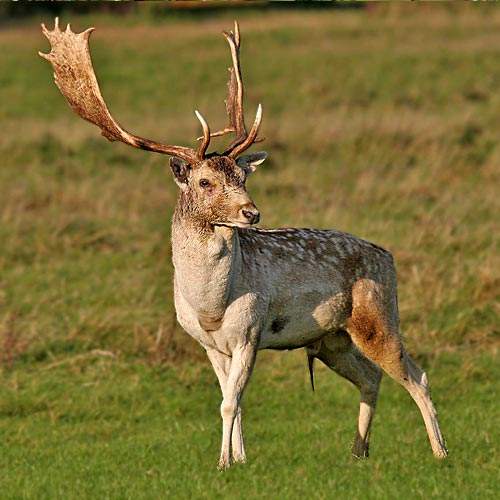 <h2>HUNTING TOURS</h2><h3>5% OFF UNTIL NOV 10, 2025</h3>